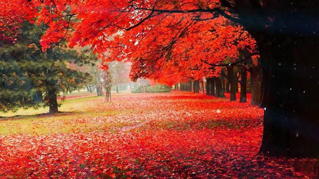 Божественная музыка трогает сердце! Хочу слушать вечно! Отличная музыка Сергей Грищук #63 смотреть онлайн