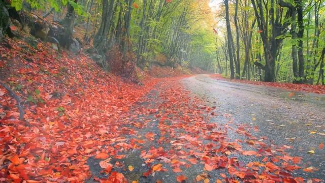 Валентина Жук Не бывает слишком поздно для любви смотреть онлайн