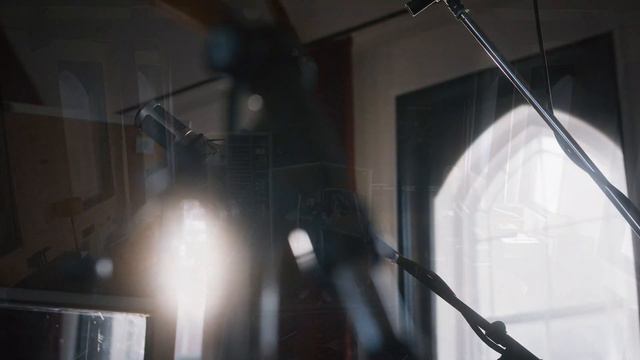 Introducing VIOLA UNTAMED - Sample library for Kontakt