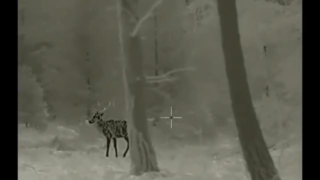 InfiRay Geni GL35R смотреть онлайн