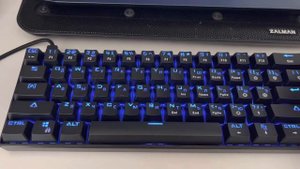 Dexp Tanto RGB Sound test
