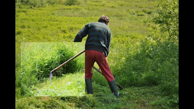 косарь и райком смотреть онлайн