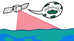 Бактерии лучше видно... из космоса? [MinuteEarth на русском]