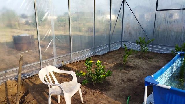 Оранжерея с прудиком(часть 1). смотреть онлайн