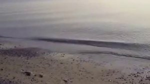 Поль де Сенневиль