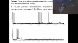 Смирнова Елена Юрьевна - Система биологической обратной связи в оптогенетическом эксперименте