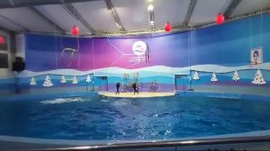 Влог с Сочи . 1 часть