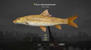 РУССКАЯ РЫБАЛКА 4.РР4. ОЗЕРО МЕДВЕЖЬЕ 70 ХВОСТОВ В ЧАС.russian fishing 4
