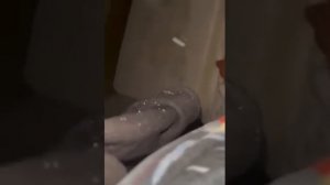 Водолазы нашли тело женщины, которая утонула в проруби