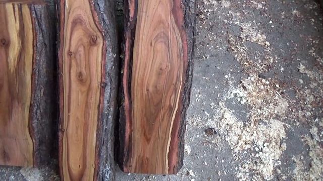 Яблоневый пень . Два дуба . Гортензии .и кое что ещё . смотреть онлайн