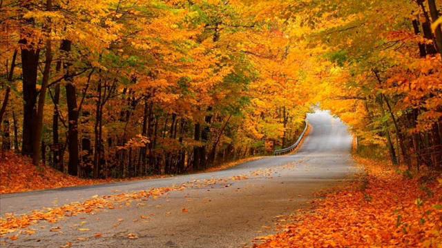 Ето счасье, ето радость... смотреть онлайн