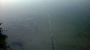 Инерционная катушка Нельма и ультралайт