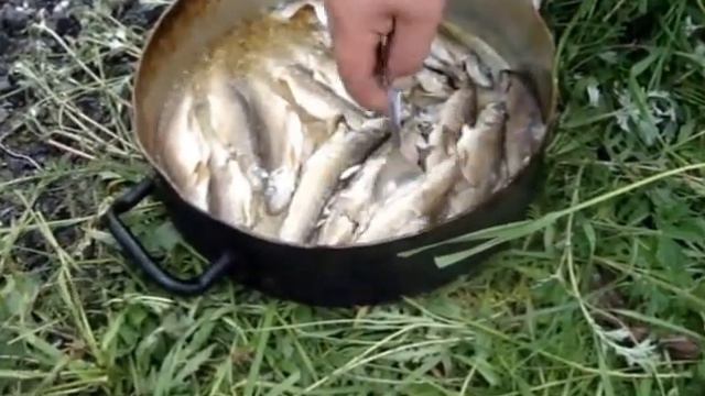 Рыбалка на Куноже смотреть онлайн