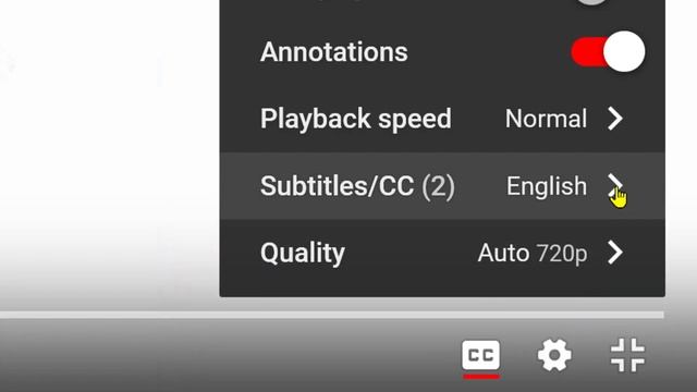 Adding Captions/Subtitles to your EmbroideryStudio Tutorial videos смотреть онлайн
