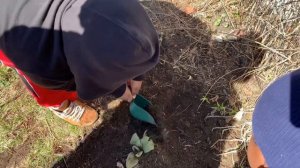 Cam and cousins plants Gladioli!!! Outdoor kids fun!! | Videos for Kids |