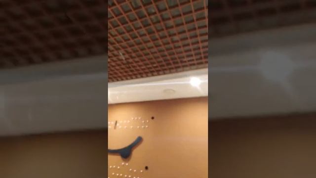 Как собирается грильято смотреть смотреть онлайн