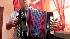 Гармонь "Ивушка"