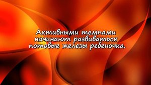 Развитие плода на 22 неделе беременности/Календарь беременности!