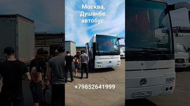 Москва, Душанбе, автобус, Москва, Худжанд, автобус.