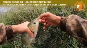 🎣 Леска для рыбалки на карпа, леща. NL ULTRA CARP.  Для фидера, или удочки.