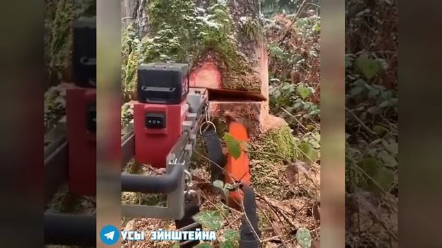 Механический Валочный КЛИН. .. смотреть онлайн