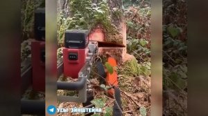 Механический Валочный КЛИН. ..