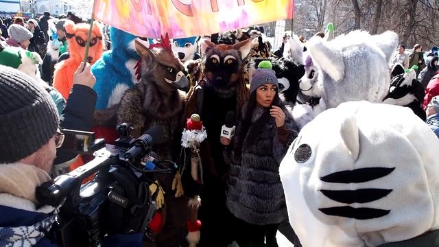 Так чьи животные то!? смотреть онлайн