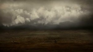 Футаж Пустыня