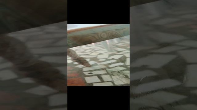 обзор чееееееек!