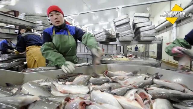 Камчатка. Соболевский район. Посёлок Крутогоровский