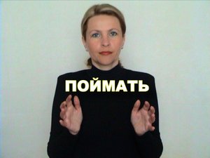 ЖЕСТОВЫЙ ЯЗЫК. СЛОВАРЬ. Поймать