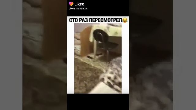 Как я иду спать на даче