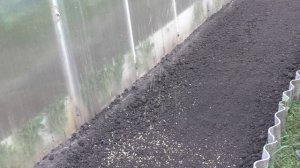 Сидераты после чеснока