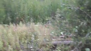 Иж планета 3 пила дрова