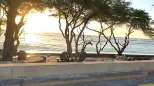 Трип на остров волшебных грибов - Gili Trawangan. Возбужденная лошадь. Сальтуха об лодку.