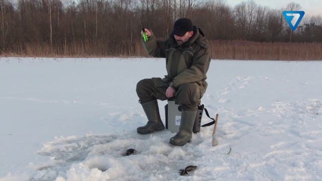 Особенности псковской рыбалки. Анонс "Прожорливая головешка" смотреть онлайн
