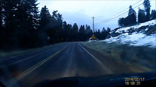 Whitetail Appears out of nowhere to Kill a new 2014 Honda Crosstour смотреть онлайн