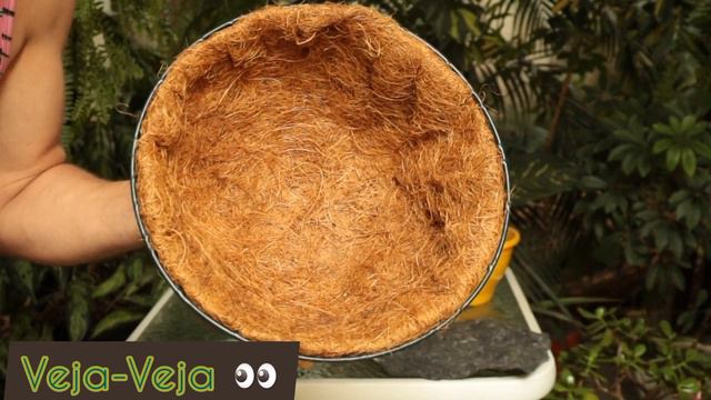 Saiba como REPLANTAR SUA JIBOIA que tá bem comprida. Ainda DICAS de vasos, suportes e substratos. смотреть онлайн