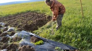 легко и просто убираем траву