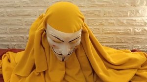 обзор на домашнего анонимуса