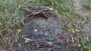 РЫБАЛКА НА АМУРА на ОХЛАДИТЕЛЕ АЭС В НОВОВОРОНЕЖЕ / МОРЕ ТИЛАПИИ