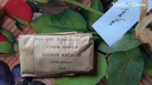 █ Как избавится от МУРАВЬЕВ и ТАРАКАНОВ / Банан, Желток и Борная кислота