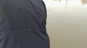 Поимка форели на селедку