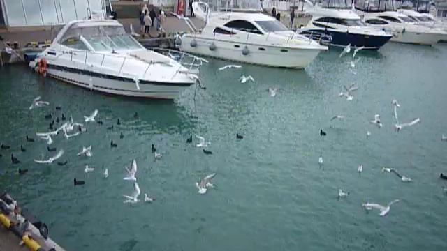 белые кораблики -скромны и не дороги в порту Сочи привлекают и радуют глаз россиян,под крики чаек!! смотреть онлайн