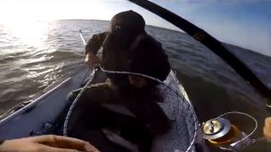 Ловля судака на виброхвост с офсетным крючком
