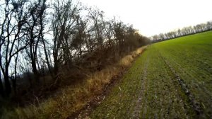 Три работы дратхаара по зайцу: в посадке и в поле  - Охота на зайца / Hare hunting