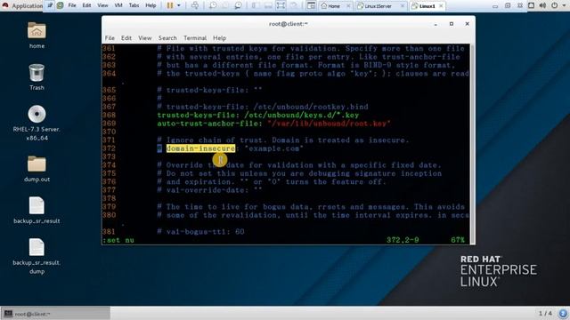 How to configure Caching DNS Server in Linux7.3 (Bangla) смотреть онлайн