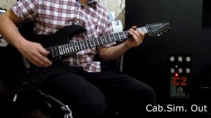 Amt C2 - review by Nick Percev