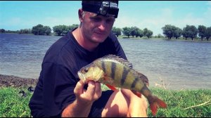 Ловля окуня на съедобную резину Фанатик.