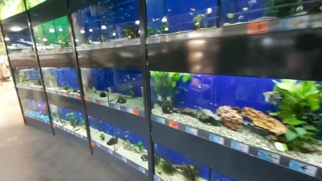 Все для дома и ремонта HORNBACH смотреть онлайн